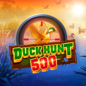 Duck Hunt 500