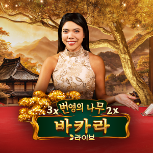 카니노게임