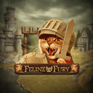 Feline Fury