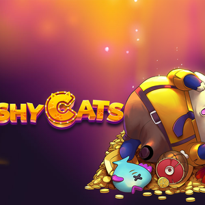 Pushy Cats