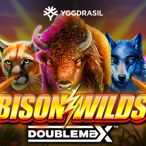 Bison Wilds