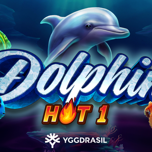 Dolphin Hot 1